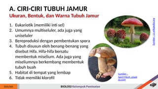 Jamur Multiseluler Biologi Kelas 10 BAB 6 Jamur (Fungi).pptx