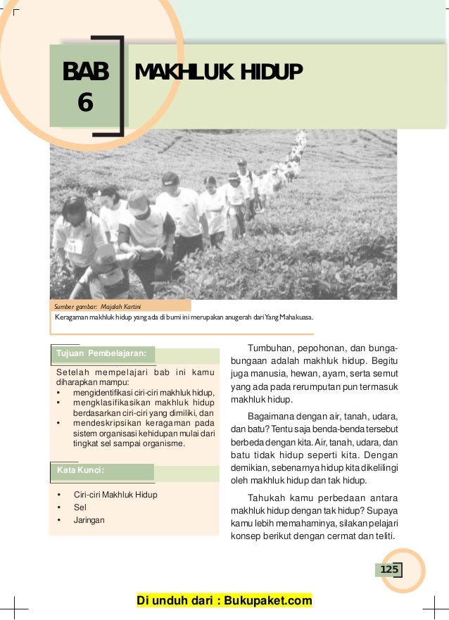 Bab 6 Makhluk Hidup Bab 6 Makhluk Hidup