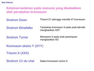 Kelainan-kelainan pada manusia yang disebabkan
oleh perubahan kromosom
Sindrom Down
Sindrom Klinefelter
Sindrom Cri du chat
Trisomi 21 sehingga memiliki 47 kromosom
Tambahan kromosom X pada anak laki-laki
menghasilkan XXY
Sindrom Turner Monosomi X pada anak perempuan
menghasilkan XO
Delesi kromosom nomor 5
Kromosom ekstra Y (XYY)
Trisomi X (XXX)
Bab 6 Mutasi
 