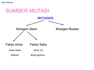 SUMBER MUTASI
MUTAGEN
Mutagen BuatanMutagen Alami
Faktor kimia Faktor fisika
Bab 6 Mutasi
Asam nitrat
Kolkisin
Sinar UV
Sinar gamma
 