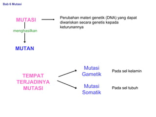MUTASI
Perubahan materi genetik (DNA) yang dapat
diwariskan secara genetis kepada
keturunannya
MUTAN
TEMPAT
TERJADINYA
MUTASI
Mutasi
Gametik
Mutasi
Somatik
menghasilkan
Bab 6 Mutasi
Pada sel kelamin
Pada sel tubuh
 