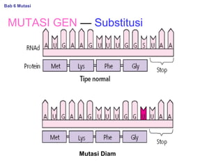 Mutasi Diam
MUTASI GEN — Substitusi
Bab 6 Mutasi
 