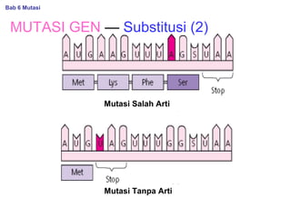 MUTASI GEN — Substitusi (2)
Mutasi Tanpa Arti
Mutasi Salah Arti
Bab 6 Mutasi
 