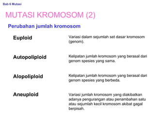 MUTASI KROMOSOM (2)
Perubahan jumlah kromosom
Euploid
Autopoliploid
Alopoliploid
Aneuploid
Variasi dalam sejumlah set dasar kromosom
(genom).
Kelipatan jumlah kromosom yang berasal dari
genom spesies yang sama.
Kelipatan jumlah kromosom yang berasal dari
genom spesies yang berbeda.
Variasi jumlah kromosom yang diakibatkan
adanya pengurangan atau penambahan satu
atau sejumlah kecil kromosom akibat gagal
berpisah.
Bab 6 Mutasi
 
