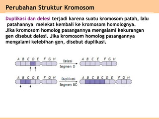 Comprehensive Overview of Genetic Mutations: Types, Causes, and ...