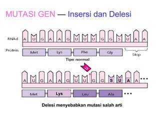 Presentasi mata pelajaran biologi kelas xii | PPT