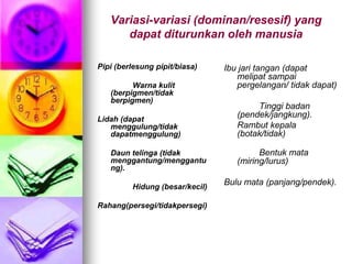 Variasi-variasi (dominan/resesif) yang
      dapat diturunkan oleh manusia

Pipi (berlesung pipit/biasa)    Ibu jari tangan (dapat
                                   melipat sampai
         Warna kulit               pergelangan/ tidak dapat)
   (berpigmen/tidak
   berpigmen)
                                        Tinggi badan
Lidah (dapat
                                   (pendek/jangkung).
   menggulung/tidak                Rambut kepala
   dapatmenggulung)                (botak/tidak)

   Daun telinga (tidak                   Bentuk mata
   menggantung/menggantu           (miring/lurus)
   ng).

         Hidung (besar/kecil)
                                Bulu mata (panjang/pendek).

Rahang(persegi/tidakpersegi)
 