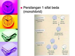    Persilangan 1 sifat beda
    (monohibrid)
 