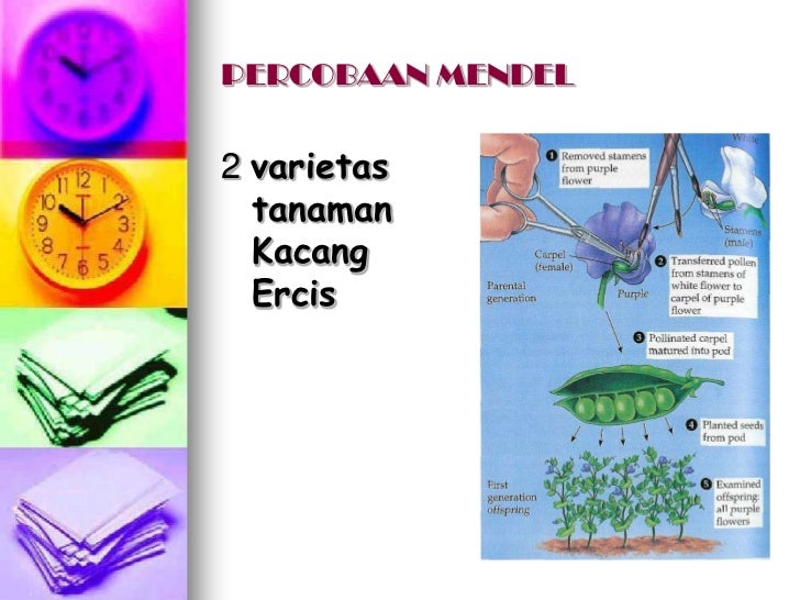 Bab 6 Pewarisan Sifat