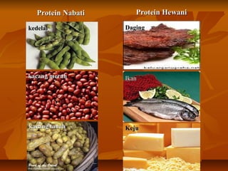 Protein NabatiProtein Nabati
kacang merahkacang merah
kacang tanahkacang tanah
kedelaikedelai
Protein HewaniProtein Hewani
KejuKeju
IkanIkan
DagingDaging
 