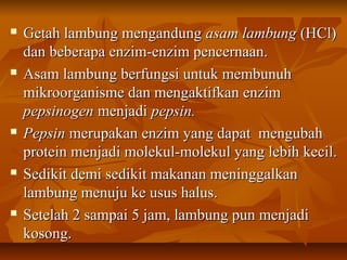  Getah lambung mengandungGetah lambung mengandung asam lambungasam lambung (HCl)(HCl)
dan beberapa enzim-enzim pencernaan.dan beberapa enzim-enzim pencernaan.
 Asam lambung berfungsi untuk membunuhAsam lambung berfungsi untuk membunuh
mikroorganisme dan mengaktifkan enzimmikroorganisme dan mengaktifkan enzim
pepsinogenpepsinogen menjadimenjadi pepsin.pepsin.
 PepsinPepsin merupakan enzim yang dapat mengubahmerupakan enzim yang dapat mengubah
protein menjadi molekul-molekul yang lebih kecil.protein menjadi molekul-molekul yang lebih kecil.
 Sedikit demi sedikit makanan meninggalkanSedikit demi sedikit makanan meninggalkan
lambung menuju ke usus halus.lambung menuju ke usus halus.
 Setelah 2 sampai 5 jam, lambung pun menjadiSetelah 2 sampai 5 jam, lambung pun menjadi
kosong.kosong.
 