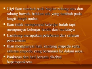  Gigi ikan tumbuh pada bagian rahang atas danGigi ikan tumbuh pada bagian rahang atas dan
rahang bawah, bahkan ada yang tumbuh padarahang bawah, bahkan ada yang tumbuh pada
langit-langit mulut.langit-langit mulut.
 Ikan tidak mempunyai kelenjar ludah tapiIkan tidak mempunyai kelenjar ludah tapi
mempunyai kelenjar lendir dari mulutnyamempunyai kelenjar lendir dari mulutnya
 Lambung merupakan pelebaran dari saluranLambung merupakan pelebaran dari saluran
pencernaanpencernaan
 Ikan mempunyai hati, kantung empedu sertaIkan mempunyai hati, kantung empedu serta
saluran empedu yang bermuara ke dalam usus.saluran empedu yang bermuara ke dalam usus.
 Pankreas dan hati bersatu disebutPankreas dan hati bersatu disebut
hepatopankreashepatopankreas
 