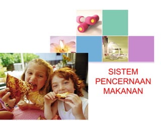 COMPANY NAME 
SISTEM 
PENCERNAAN 
MAKANAN 
 