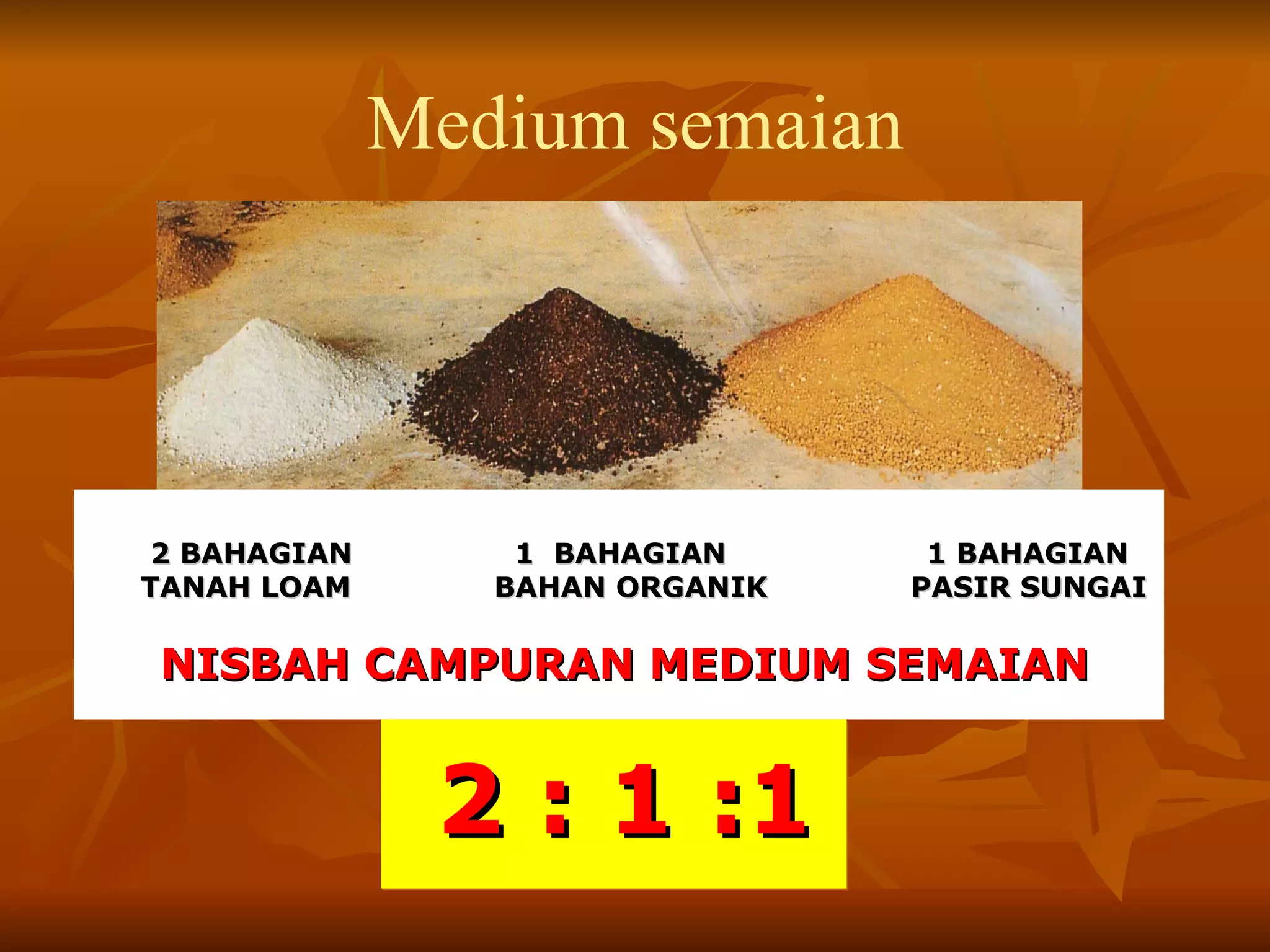 2 BAHAGIAN 1 BAHAGIAN 1 BAHAGIAN TANAH LOAM BAHAN ORGANIK PASIR SUNGAI NISBAH CAMPURAN MEDIUM SEMAIAN 2 : 1 :1 Medium semaian