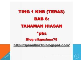 TING 1 KHB (TERAS)
            BAB 6:
    TANAMAN HIASAN
             *pbs
       Blog cikguziana78
http://tipsonline78.blogspot.com/


                           DESIGNED BY CIKGUZIANA78
                 HTTP://TIPSONLINE78.BLOGSPOT.COM/    1
 