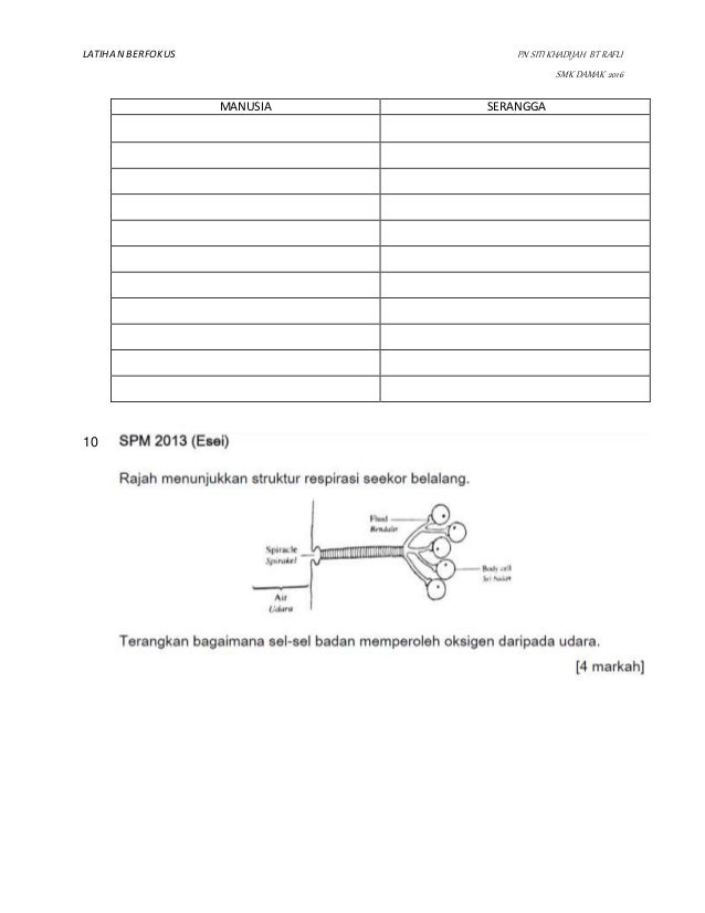 MODUL BERFOKUS Bab 7 TING 4