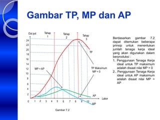 Gambar TP, MP dan AP
Tahap
1
Tahap
2
7 8 9 10
5
4
3
2
0 6
2
4
14
12
10
8
6
18
16
20
22
24
1
Tahap
3
TP
MP
Labor
AP
Out put
TP Maksimum
MP = 0
MP = AP
Gambar 7.2
Berdasarkan gambar 7.2
dapat ditemukan beberapa
prinsip untuk menentukan
jumlah tenaga kerja ideal
yang akan digunakan dalam
berproduksi :
1. Penggunaan Tenaga Kerja
ideal untuk TP maksimum
adalah disaat nilai MP = 0
2.. Penggunaan Tenaga Kerja
ideal untuk AP maksimum
adalah disaat nilai MP =
AP
 