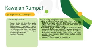 Contoh Rumput Rumpai pengurusan selepas menanam tanaman di ladang | PPTX