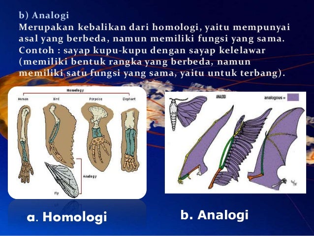 29 Contoh Soal Homologi Dan Analogi Kumpulan Contoh Soal