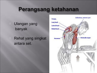    Ulangan yang
    banyak

   Rehat yang singkat
    antara set.
 
