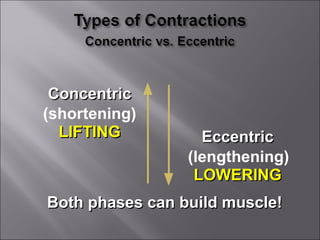 Concentric
(shortening)
  LIFTING          Eccentric
                 (lengthening)
                  LOWERING
Both phases can build muscle!
 