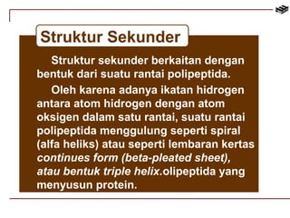 Struktur Sekunder 
Struktur sekunder berkaitan dengan 
bentuk dari suatu rantai polipeptida. 
Oleh karena adanya ikatan hidrogen 
antara atom hidrogen dengan atom 
oksigen dalam satu rantai, suatu rantai 
polipeptida menggulung seperti spiral 
(alfa heliks) atau seperti lembaran kertas 
continues form (beta-pleated sheet), 
atau bentuk triple helix.olipeptida yang 
menyusun protein. 
 