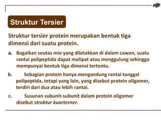 Struktur Tersier 
Struktur tersier protein merupakan bentuk tiga 
dimensi dari suatu protein. 
a. Bagaikan seutas mie yang diletakkan di dalam cawan, suatu 
rantai polipeptida dapat melipat atau menggulung sehingga 
mempunyai bentuk tiga dimensi tertentu. 
b. Sebagian protein hanya mengandung rantai tunggal 
polipeptida, tetapi yang lain, yang disebut protein oligomer, 
terdiri dari dua atau lebih rantai. 
c. Susunan subunit-subunit dalam protein oligomer 
disebut struktur kuarterner. 
 
