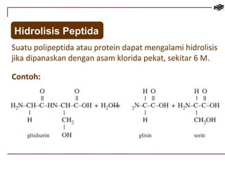 Hidrolisis Peptida 
Suatu polipeptida atau protein dapat mengalami hidrolisis 
jika dipanaskan dengan asam klorida pekat, sekitar 6 M. 
Contoh: 
 