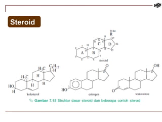 Steroid 
 