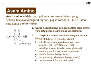 Asam Amino 
Asam amino adalah suatu golongan senyawa karbon yang 
setidak-tidaknya mengandung satu gugus karboksil (–COOH) dan 
satu gugus amino (–NH2). 
a. Gugus R adalah gugus pembeda antara asam amino 
yang satu dengan asam amino yang lainnya. 
b. Gugus R dalam asam amino beragam, antara 
1la.inh:idrofob (seperti glisin dan alanin) 
2. hidrofil karena mengandung gugus polar 
seperti —OH, —COOH atau —NH2 
(misalnya tirosin, lisin dan asam glutamat), 
3. bersifat asam (misalnya asam glutamat), 
4. bersifat basa (misalnya lisin) 
5. mengandung belerang (misalnya sistein) 
6. cincin aromatik (misalnya tirosin). 
 