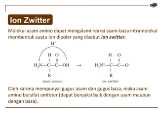 Ion Zwitter 
Molekul asam amino dapat mengalami reaksi asam-basa intramolekul 
membentuk suatu ion dipolar yang disebut ion zwitter. 
Oleh karena mempunyai gugus asam dan gugus basa, maka asam 
amino bersifat amfoter (dapat bereaksi baik dengan asam maupun 
dengan basa). 
 