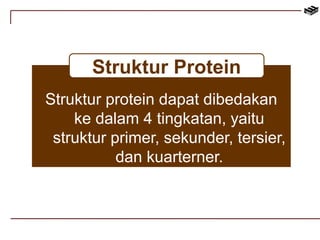 Struktur Protein 
Struktur protein dapat dibedakan 
ke dalam 4 tingkatan, yaitu 
struktur primer, sekunder, tersier, 
dan kuarterner. 
 