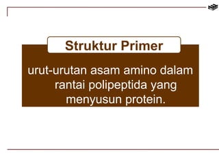 Struktur Primer 
urut-urutan asam amino dalam 
rantai polipeptida yang 
menyusun protein. 
 