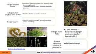 BAB 7 Dunia Tumbuhan (Plantae).pptx