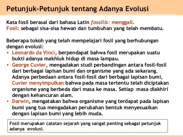Bab 7 evolusi XII SMA IPA