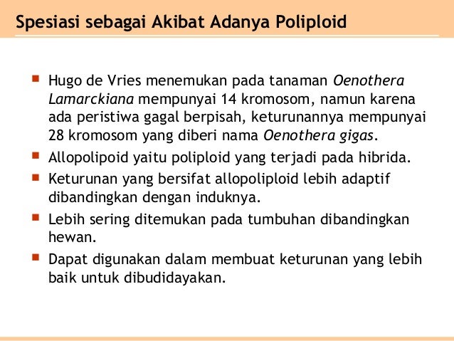 Bab 7 evolusi XII SMA IPA