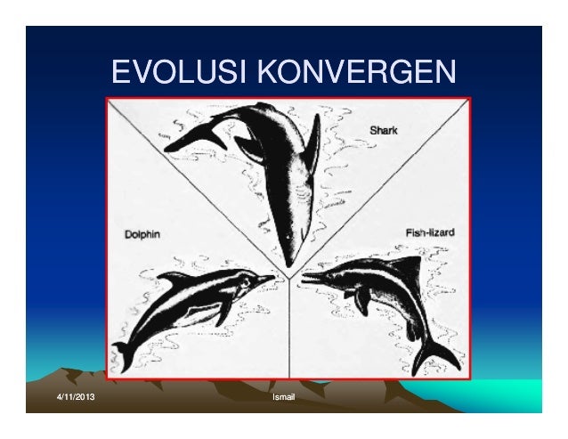 Evolusi oleh ismail