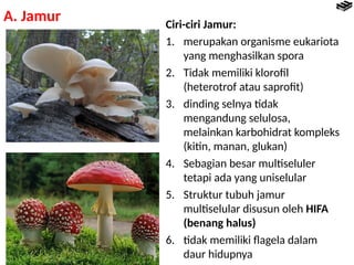 Jamur Multiseluler Materi biologi kelas X Kurikulum 13 Bab 7 Jamur | PPTX