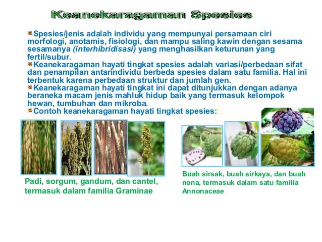 Materi#7 Keanekaragaman Hayati