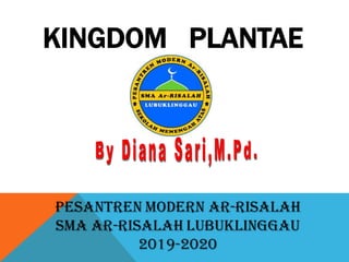 KINGDOM PLANTAE
 