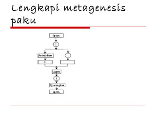 Lengkapi metagenesis
paku

 