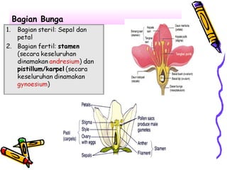Bagian Bunga

 