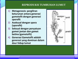 REPRODUKSI TUMBUHAN LUMUT
1) Metagenesis: pergiliran
1) Metagenesis: pergiliran
keturunan antara generasi
keturunan antara generasi
gametofit dengan generasi
gametofit dengan generasi
sporofit
sporofit
2) Aseksual dengan spora
2) Aseksual dengan spora
(sporofit)
(sporofit)
3) Seksual dengan penyatuan
3) Seksual dengan penyatuan
gamet jantan dan gamet
gamet jantan dan gamet
betina (gametofit)
betina (gametofit)
4) Generasi Gametofit adalah
4) Generasi Gametofit adalah
generasi yang dominan dalam
generasi yang dominan dalam
daur hidup lumut
daur hidup lumut

 