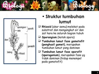 • Struktur tumbuhan
lumut
 Rhizoid (akar semu):melekat pada
substrat dan mengangkut air dan
zat hara ke seluruh bagian tubuh
 Sporangium (kotak spora)
 Tumbuhan lumut fase gametofit
(penghasil gamet), merupakan
tumbuhan lumut yang dominan
 Tumbuhan lumut fase sporofit
(sporogonium), merupakan fase yg
tidak dominan (hidup menempel
pada gametofit)

9 9

 