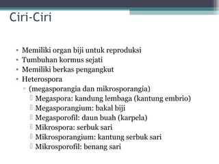 Ciri-Ciri
•
•
•
•

Memiliki organ biji untuk reproduksi
Tumbuhan kormus sejati
Memiliki berkas pengangkut
Heterospora
▫ (megasporangia dan mikrosporangia)
 Megaspora: kandung lembaga (kantung embrio)
 Megasporangium: bakal biji
 Megasporofil: daun buah (karpela)
 Mikrospora: serbuk sari
 Mikrosporangium: kantung serbuk sari
 Mikrosporofil: benang sari

 