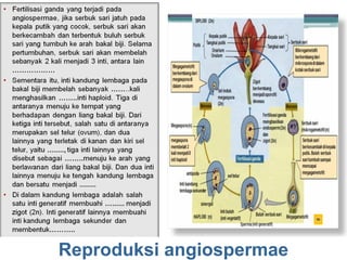 Reproduksi angiospermae

Copyright @ Sugeng SMAN14 Publishing _ Silahkan gunakan slide ini untuk kemajuan bersama. Dilarang untuk dikomersilkan dengan alasan apapun

 