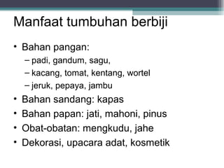Manfaat tumbuhan berbiji
• Bahan pangan:
– padi, gandum, sagu,
– kacang, tomat, kentang, wortel
– jeruk, pepaya, jambu

•
•
•
•

Bahan sandang: kapas
Bahan papan: jati, mahoni, pinus
Obat-obatan: mengkudu, jahe
Dekorasi, upacara adat, kosmetik

 