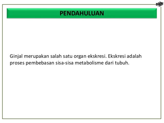 Bab 7 sistem ekskresi