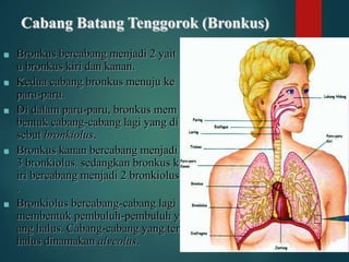 BAB 7 SISTEM PERNAPASAN.pptx