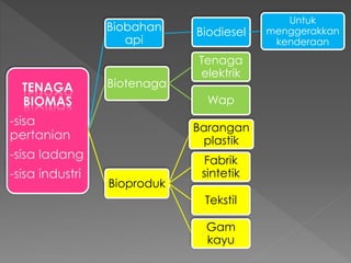 Biobahan
api
Biodiesel
Untuk
menggerakkan
kenderaan
Biotenaga
Tenaga
elektrik
Wap
Bioproduk
Barangan
plastik
Fabrik
sintetik
Tekstil
Gam
kayu
 